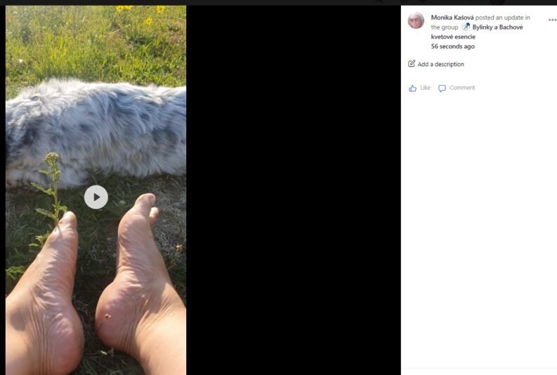 Snímka obrazovky 2022-07-22 230444