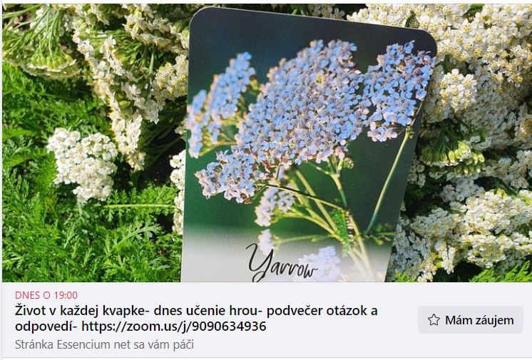 Snímka obrazovky 2022-07-25 174543