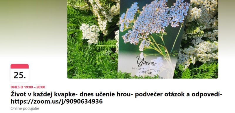 Snímka obrazovky 2022-07-25 182157