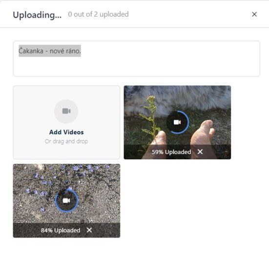 Snímka obrazovky 2022-07-22 230131