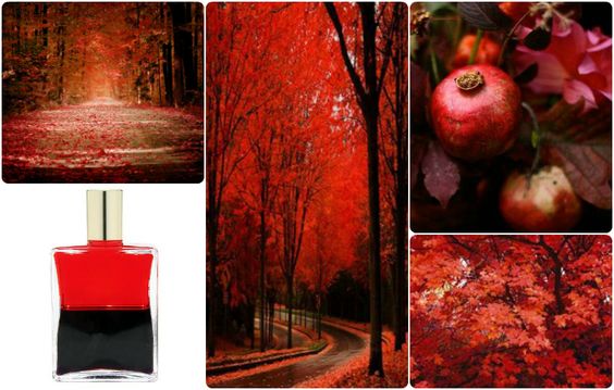 68b625cdc10eb22eec3f4b1afcf21883