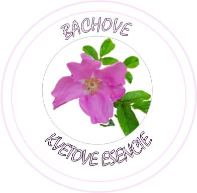 Snímka obrazovky 2022-08-13 113113