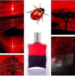 Snímka obrazovky 2022-07-24 101751