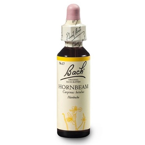 935627e610aa365d736c8bb9e2c23313