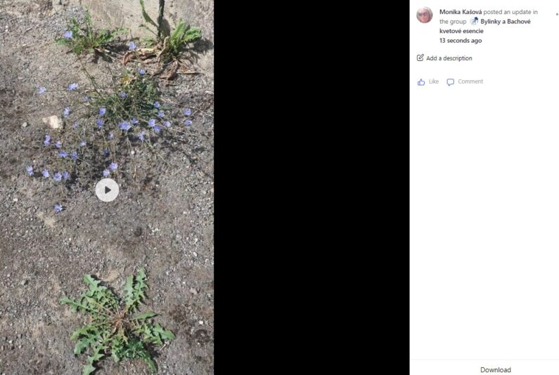 Snímka obrazovky 2022-07-22 230411