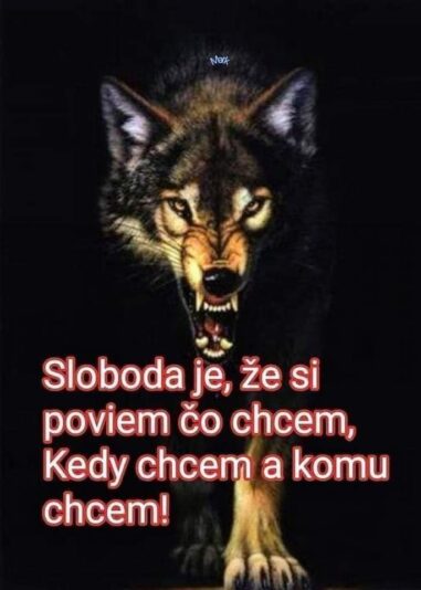 IMG_20230828_191452_411