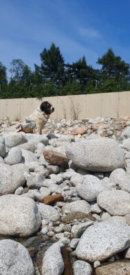 skalná voda pobyt 1